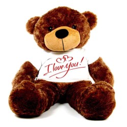 Brown 5 feet Big Teddy Bear wearing a I Love You T-shirt